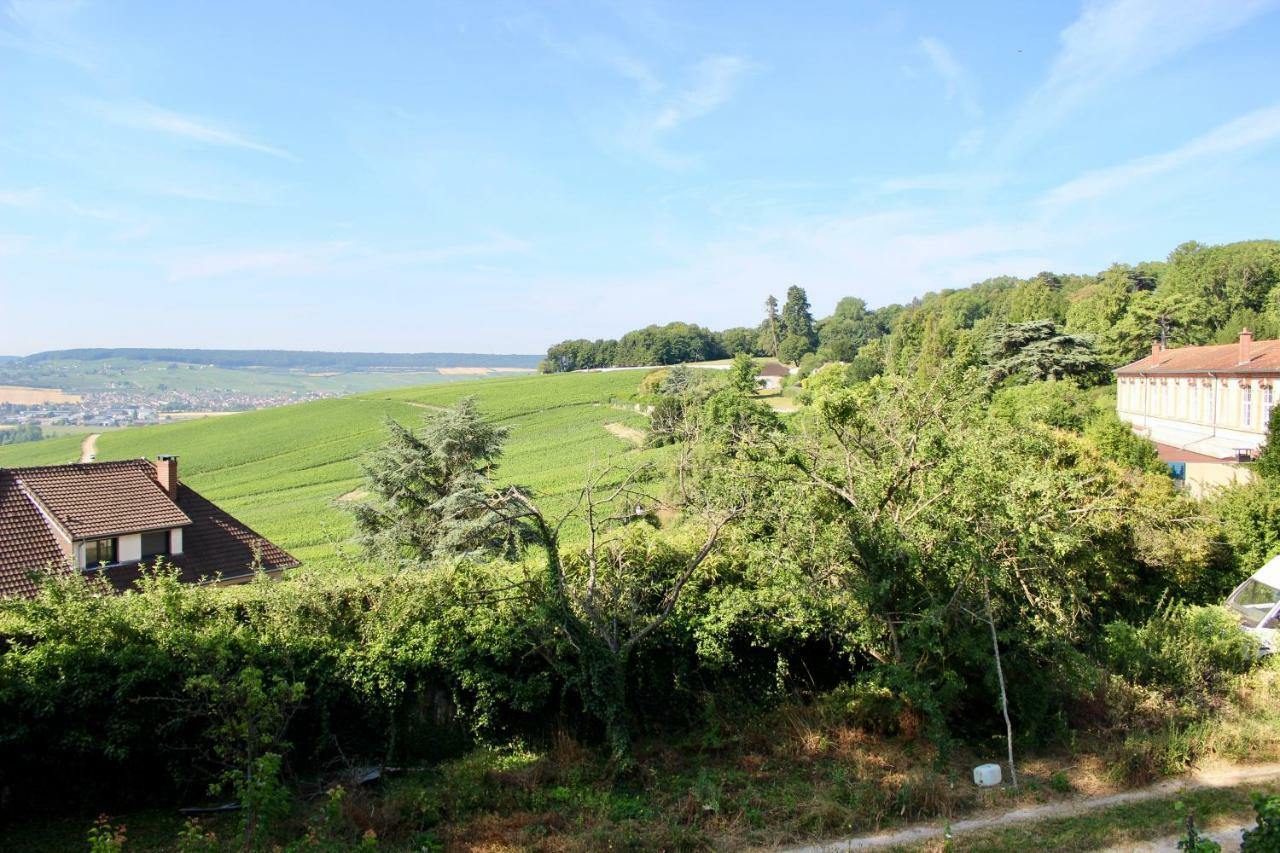 Le Sarment - Hautvillers Exterior foto